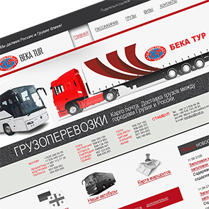 Создание сайт-визитки для БекаТур